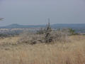 #6: A view of the horizon from the confluence.