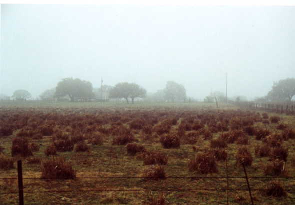 View east along county road 238 to a nearby ranch home.