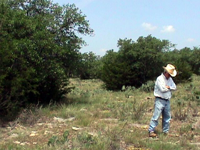 Looking north from site