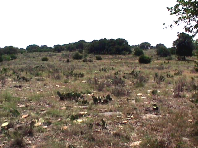 Looking south from site