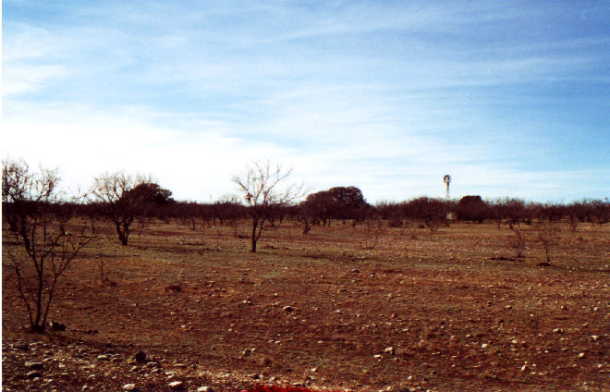 View across pasture from confluence to windmill, tank, and abandoned house