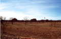 #2: View across pasture from confluence to windmill, tank, and abandoned house