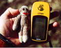 #5: Chango the Sock Monkey verifies the correct coordinates on the GPS