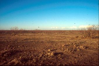 #1: Near center of playa