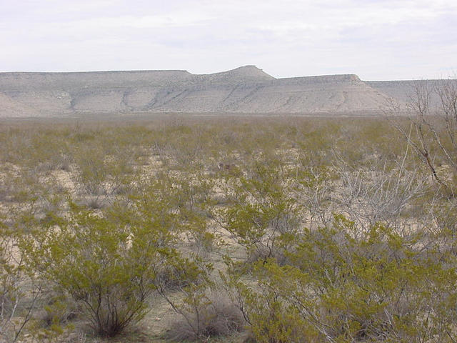 Looking East from the confluence.