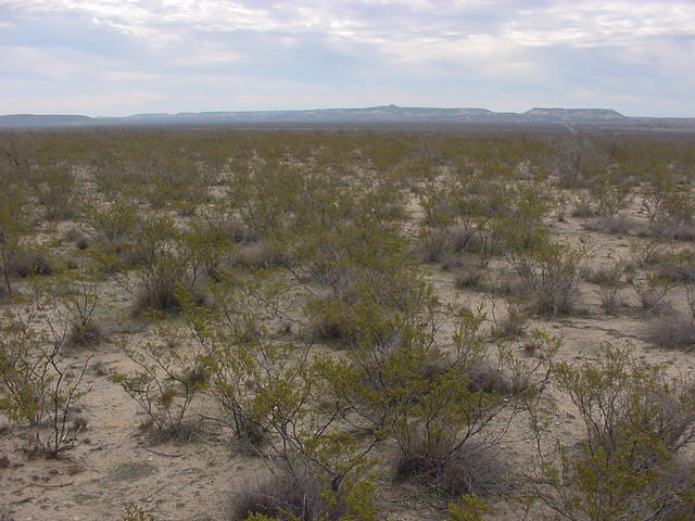 Looking South from the confluence.