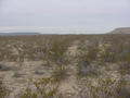 #3: Looking North from the confluence.