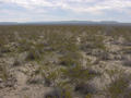 #4: Looking South from the confluence.