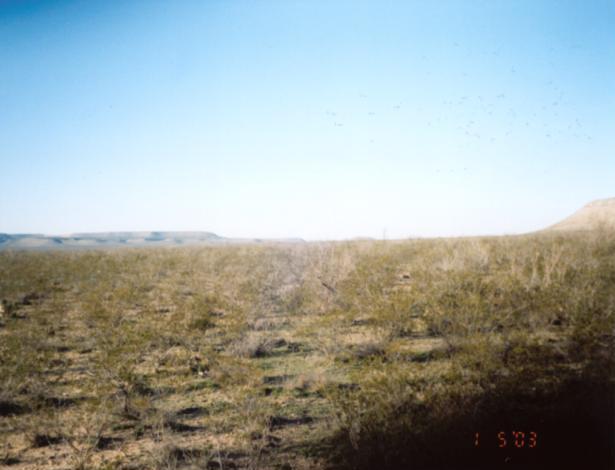 Looking north from 31N 102W