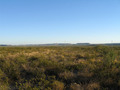 #3: View South