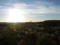 #4: View West