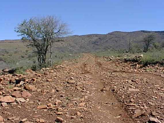 The road into the ranch. Bring your four wheel drive truck