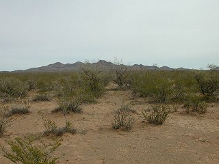 #1: Looking east from the confluence