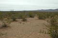 #2: looking south from the confluence towards railroad tracks.