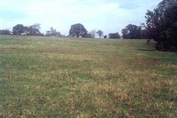 View from confluence looking north.