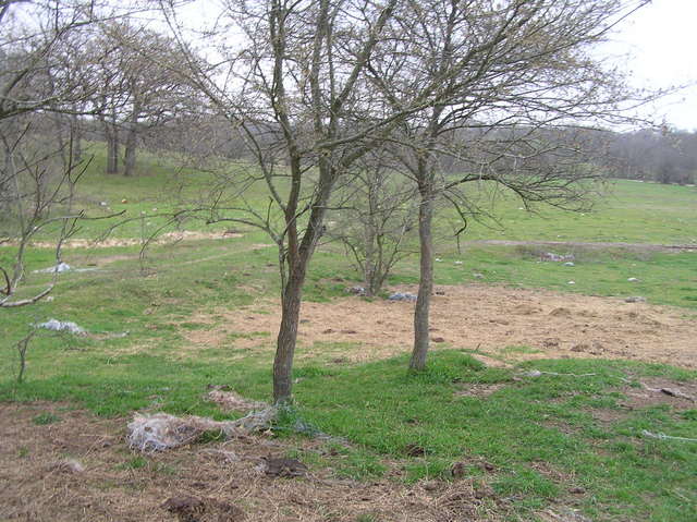 View to the south from the confluence.