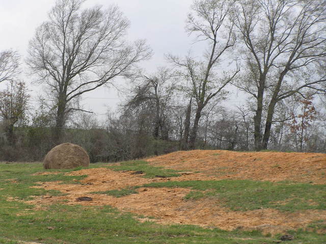 View to the west from the confluence.