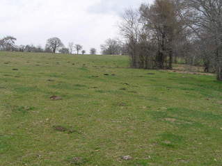 #1: View to the north from the confluence of 32 North 96 West in Texas.