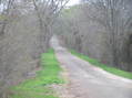 #7: A quiet and murky road--the nearest road to the confluence, looking south.