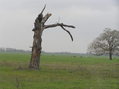 #9: This photograph seems to capture the essence of the area, about 1 km south of the confluence, looking west.