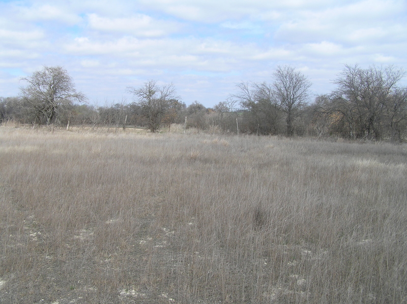 View to the north from the confluence.