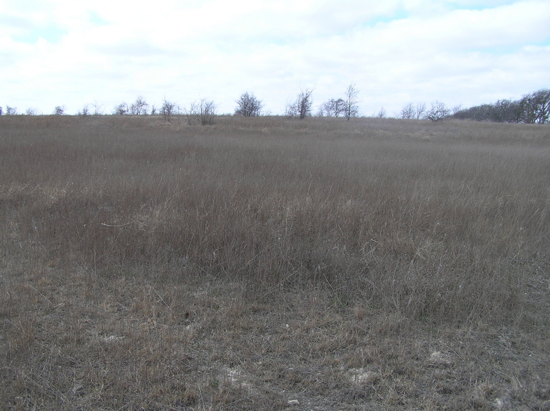 View to the west from the confluence.