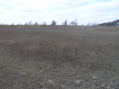 #6: View to the west from the confluence.