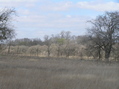 #9: View from the confluence to the northeast. 