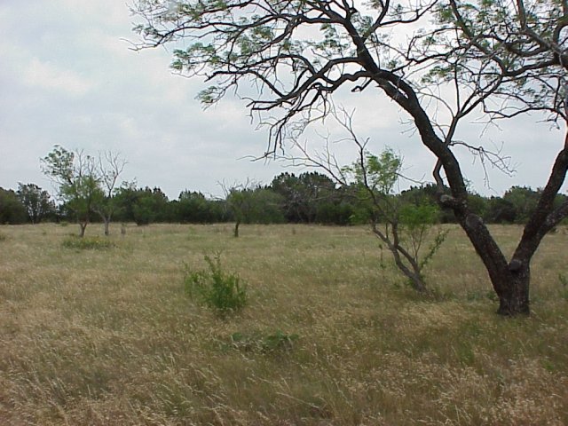 From confluence looking east