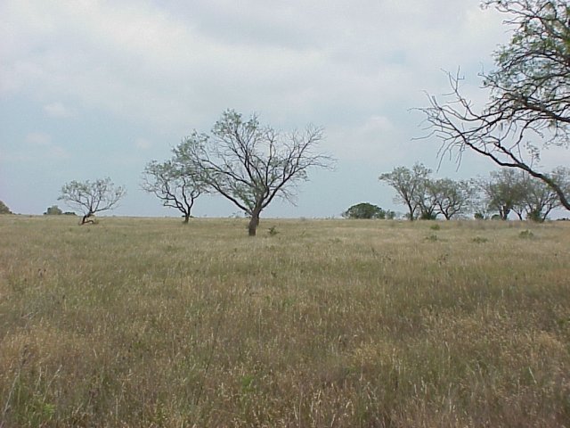 From confluence looking north