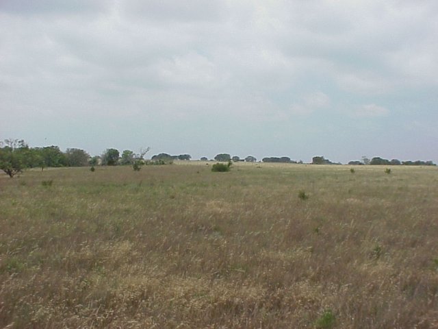 From confluence looking west