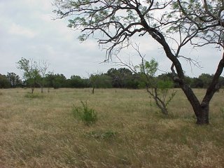 #1: From confluence looking east