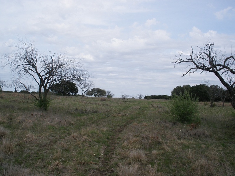 Overview of confluence, which in just to the left of the tracks and in front of the tree