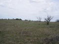 #4: North view, back to road