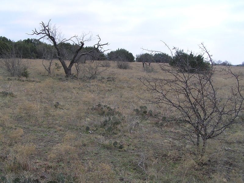 Site of 32 North 98 West, in the foreground, looking to the southeast.