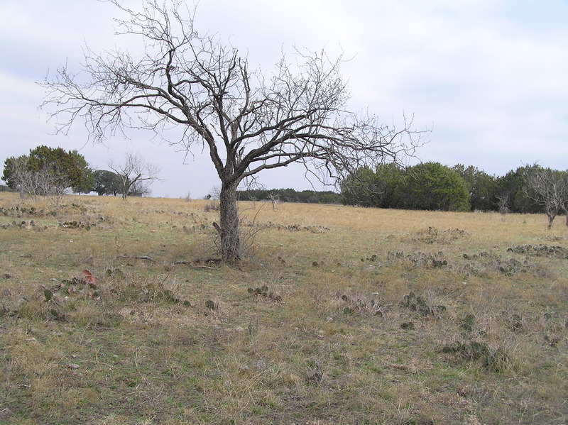 View to the south from the confluence.