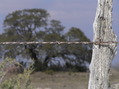 #8: Scenic view to the north from road 250 meters north of the confluence.