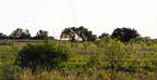 #3: Looking South About 200 Meters from Confluence