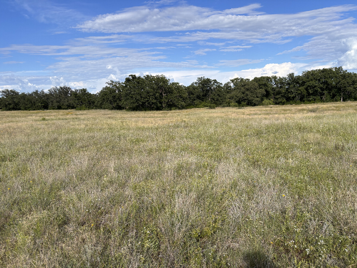 A view to the east from the confluence.