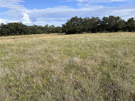 #1: A view of the confluence in the foreground, looking southeast.