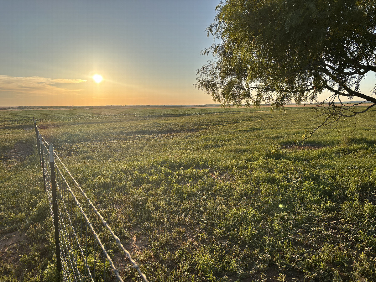 The confluence lies in the far distance, under and to the right of the sun, in the flat part of the terrain.