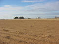 #5: View from the confluence facing North.