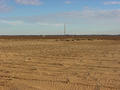 #6: View from the confluence facing South.