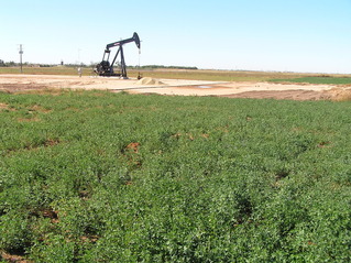 #1: Site of 32 North 102 West, in the foreground, looking south-southwest.