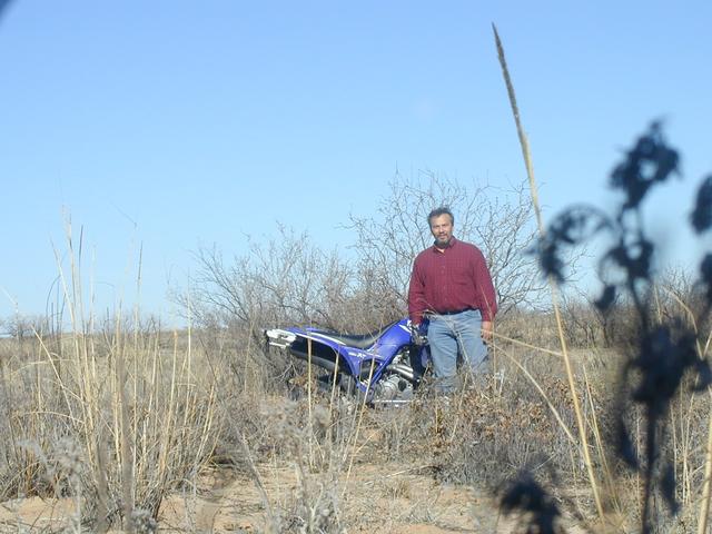 William and his steed