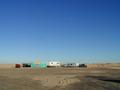 #2: Some of the visitors to the dunes.