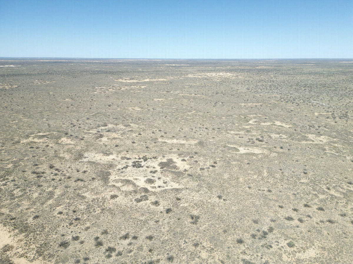 View North, from 120m above the point