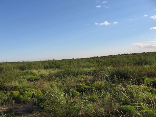 Facing South into Texas