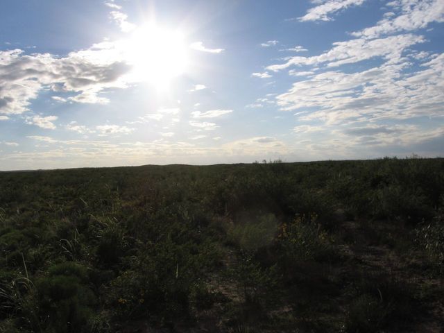 Facing West into the Sunset