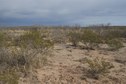 #2: View North (looking into New Mexico)